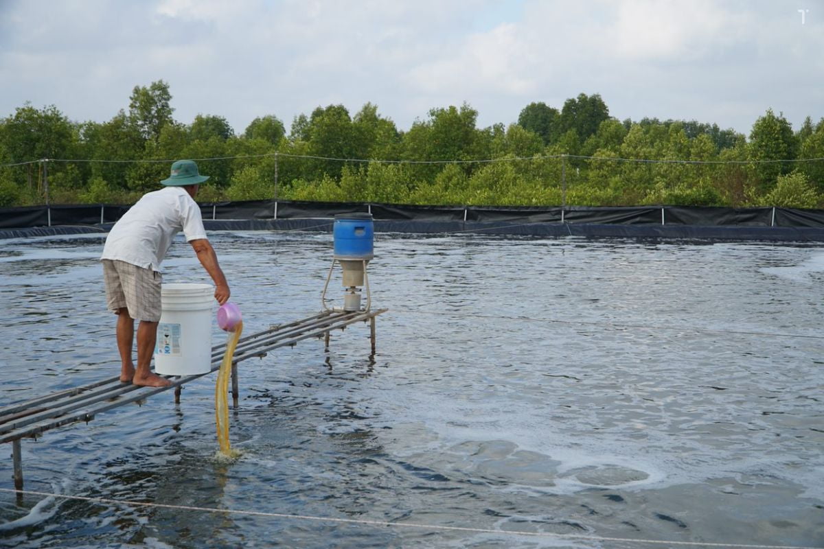 ao-nuoi-5_1688097916