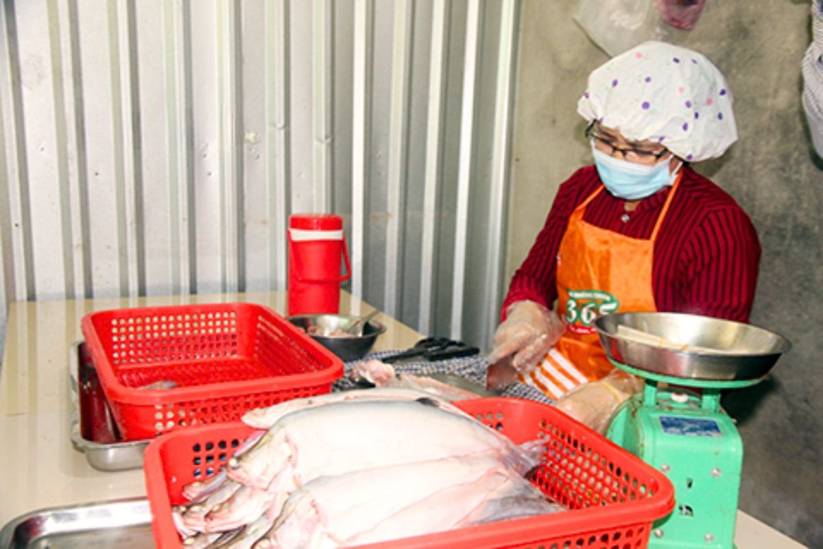 ca-that-lat_1687233218