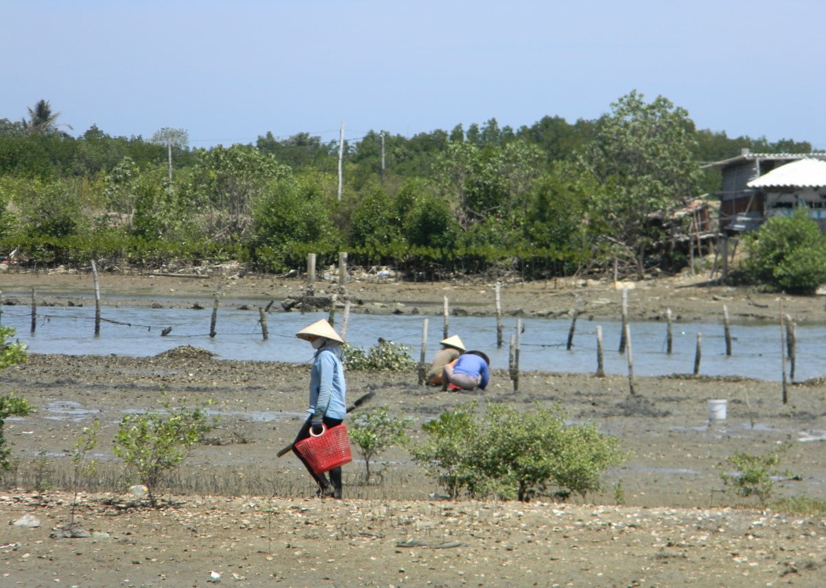 Dam-de-gi_1688464758