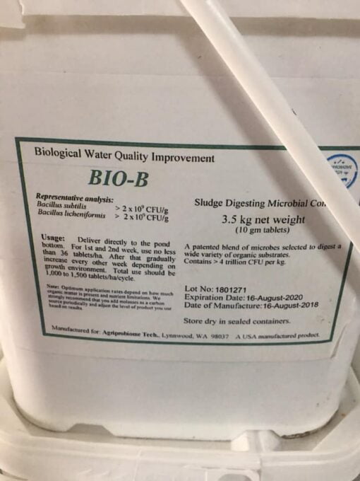 vi sinh biob, men bio-b, xử lý nước, diệt tảo lam