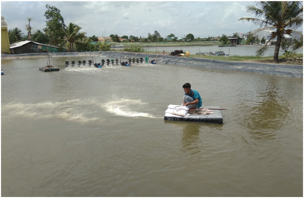 edta khử phèn, edta đức khử phèn, edta khu phen, edta duc khu phen, khu phen ao nuoi, khử phèn ao nuôi tôm, cách khử phèn ao nuôi tôm, cach khu phen ao nuoi tom, khu phen ao nuoi tom
