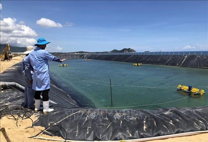 nuoi tom nuoc lo binh dinh tin tuc thuy san 6/3 tin tuc thuy san 6/3 tin tuc nuoi tom 6/3 tin tuc nuoi tom 6/3 cach nuoi tom cach nuoi tom cách nuôi tôm cách nuôi tôm Khong nen thay doi trinh tu nuoi tom nuoc lo Khong nen thay doi trinh tu nuoi tom nuoc lo không nên thay đổi trình tự nuôi tôm nước lợ không nên thay đổi trình tự nuôi tôm nước lợ