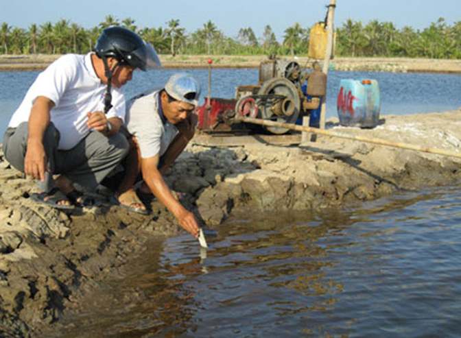 Độ pH môi trường ao nuôi tôm, do pH moi truong ao nuoi tom, độ pH ao nuôi tôm, do pH ao nuoi tom, do pH moi truong ao nuoi tom chuan, độ pH môi trường ao nuôi tôm chuẩn, độ pH chuẩn của môi trường ao nuôi tôm, do ph chuan cua moi truong ao nuoi tom