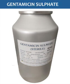 khang-sinh-thuy-san-gentamicin-sulphate