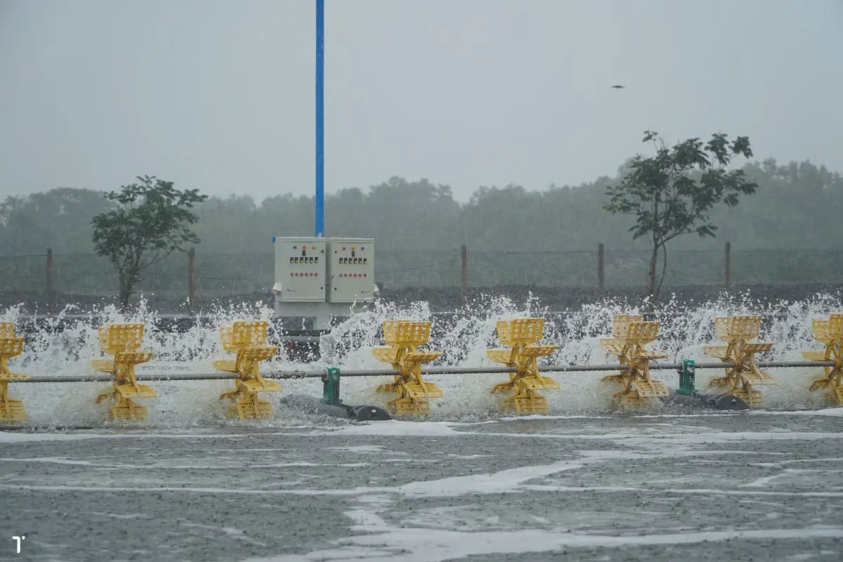 ao-nuoi-5_1726110347