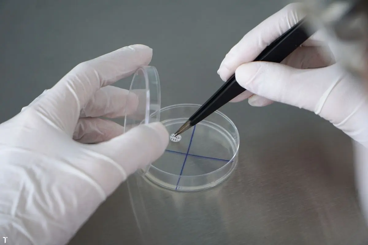 khang-sinh-do-1_1726716386