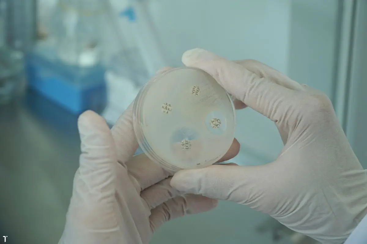 khang-sinh-do-2_1726716435