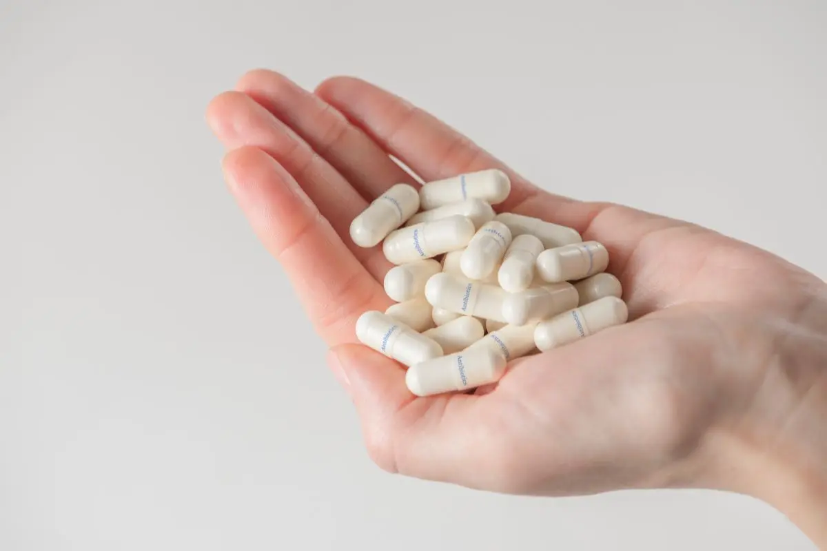 khang-sinh_1708316337