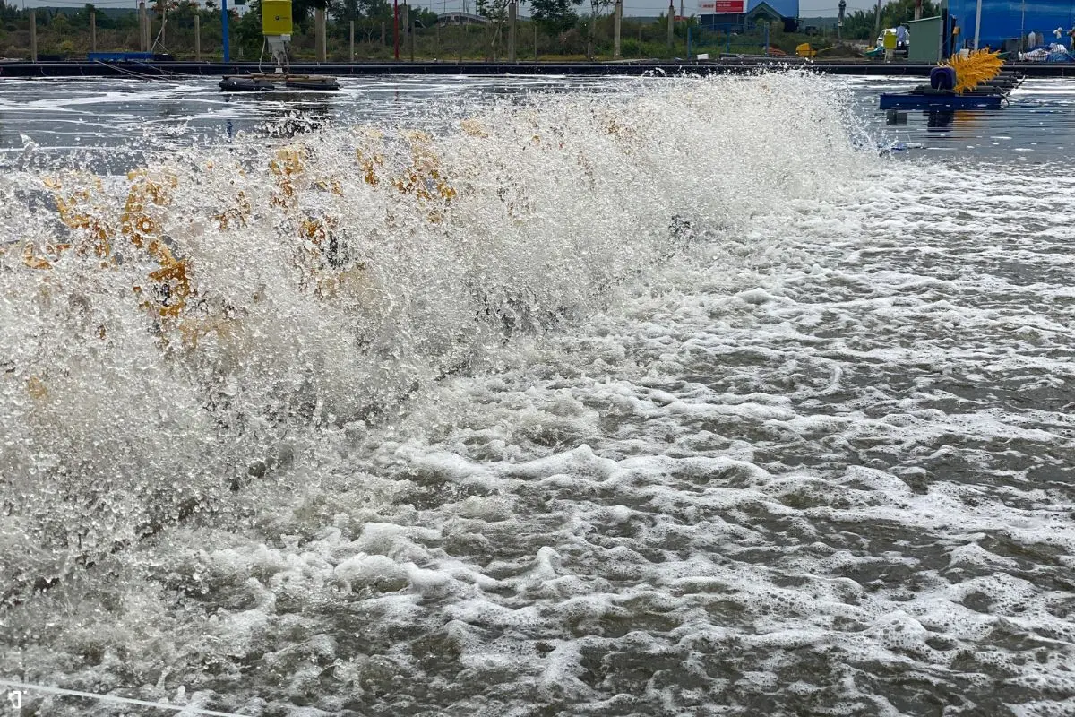 quat-nuoc-1_1727059795