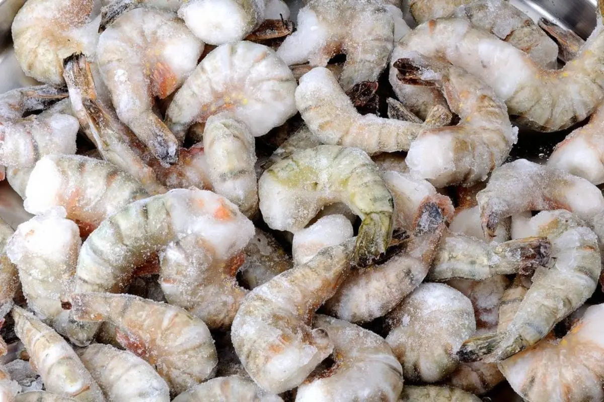 tom-dong-lanh_1725424699