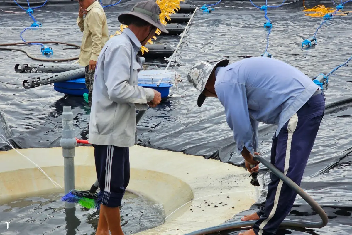 ve-sinh-ao-nuoi-2_1726627838